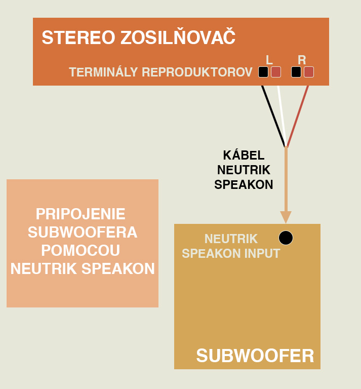 stereo amplifier to neutrik speakon