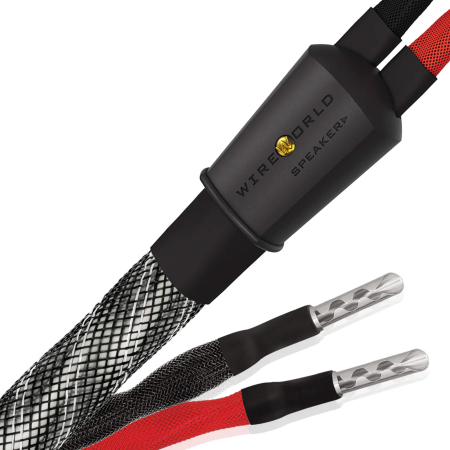 reproduktorovy-kabel-wireworld-platinum-eclipse-10-pes - Enigma High Fidelity Audio