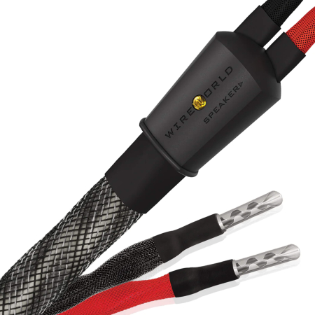 reproduktorovy-kabel-wireworld-silver-eclipse-10-ses - Enigma High Fidelity Audio
