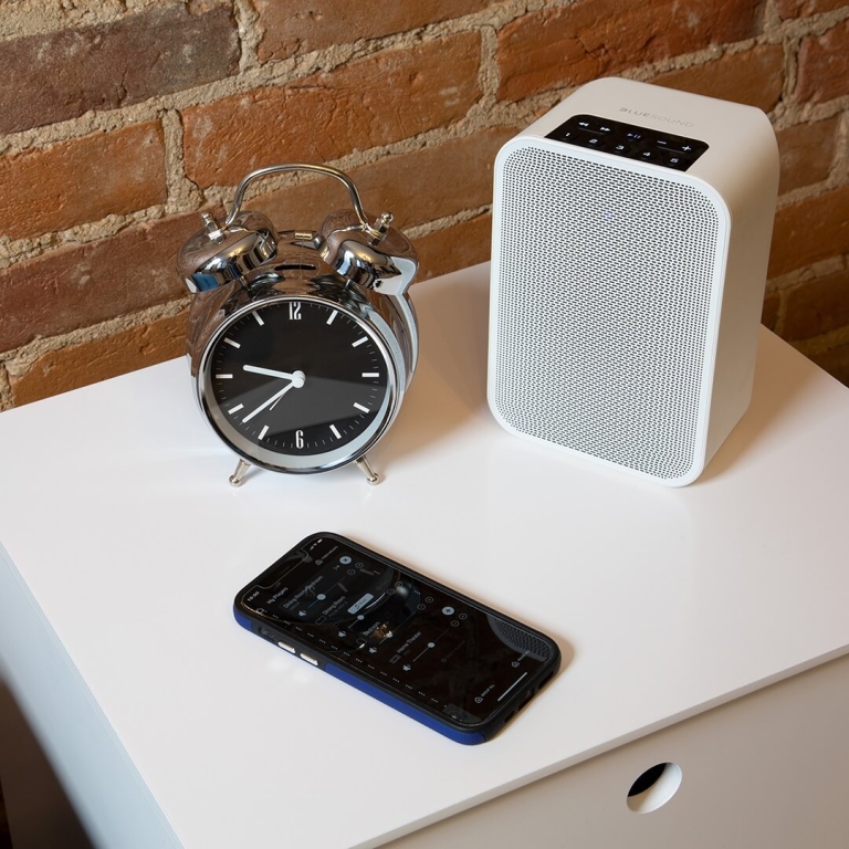 bluesound-pulse-flex-2i-hifi-kedykolvek-kdekolvek - Enigma High Fidelity Audio