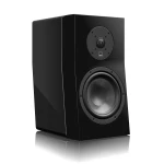 Black floor-standing speaker with a large circular woofer and smaller central tweeter on the front panel