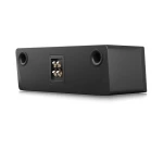 Rear view of a black speaker showing a central binding-post terminal panel and side port openings.